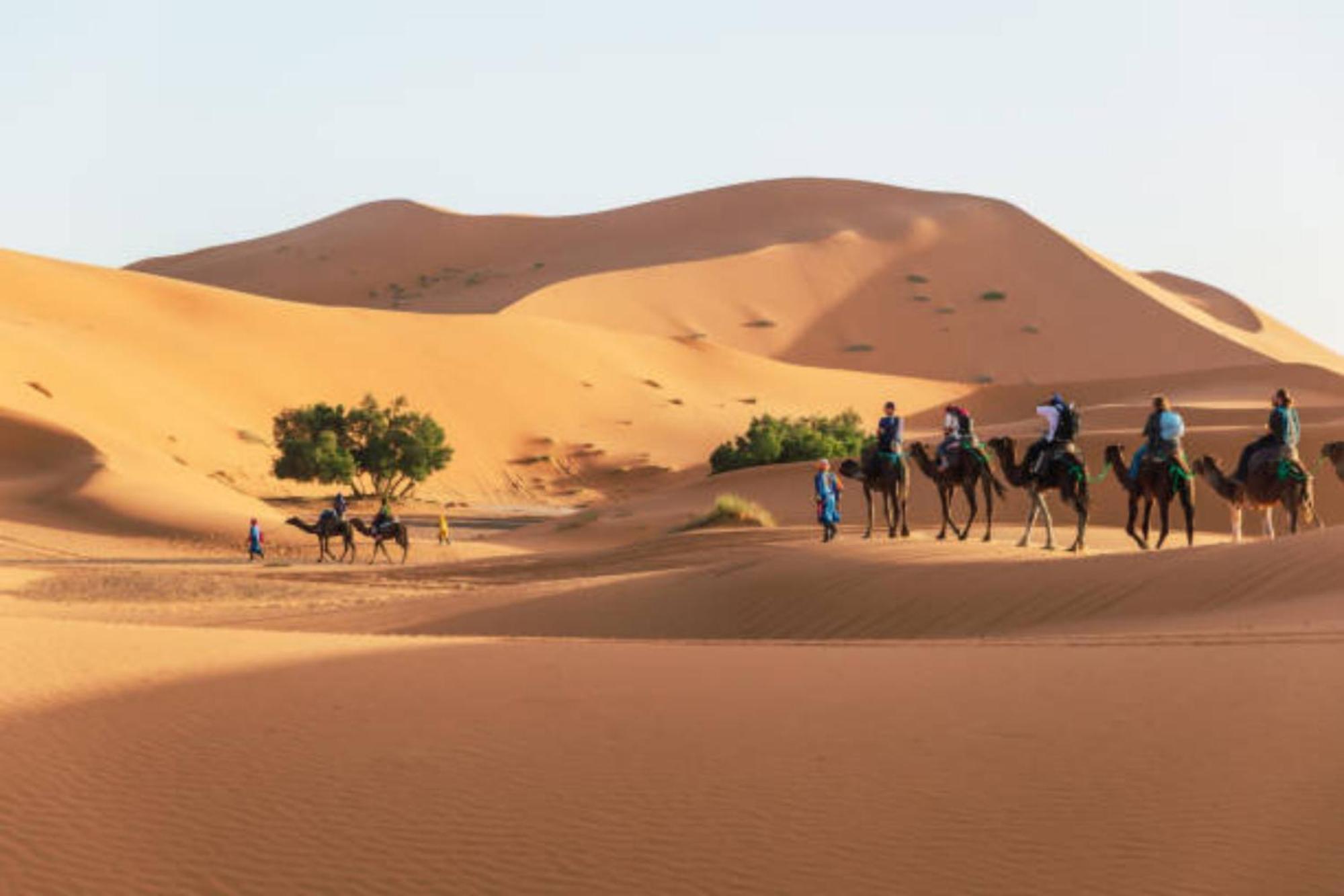 Desert Berber Fire Camp Merzouga Exterior photo